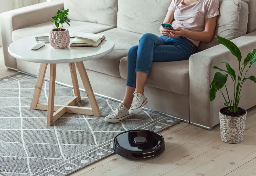 sweeping robot vacuum cleaner